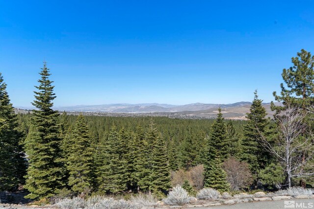 115 W Jeffrey Pine Rd, Reno, NV 89511