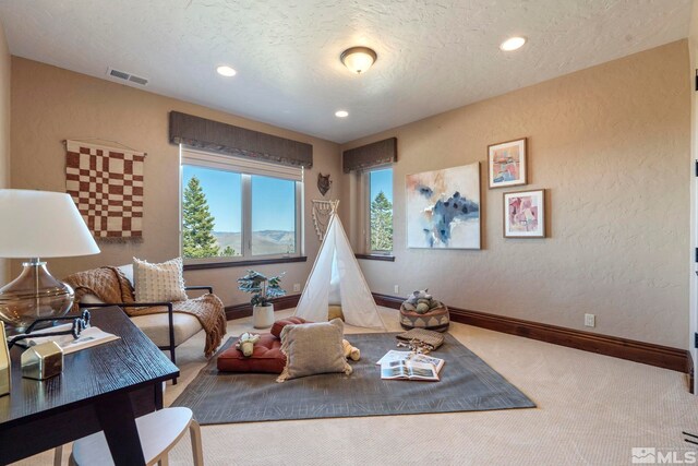 115 W Jeffrey Pine Rd, Reno, NV 89511