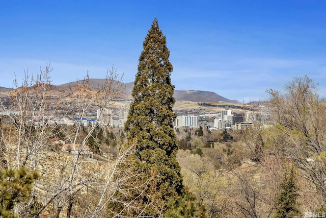 3089 Cashill Blvd, Reno, NV 89509 - view of mountain backdrop