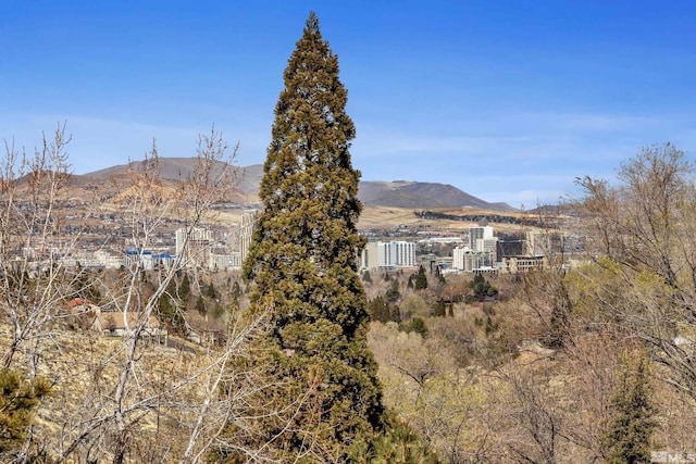 3089 Cashill Blvd, Reno, NV 89509 - view of mountain background