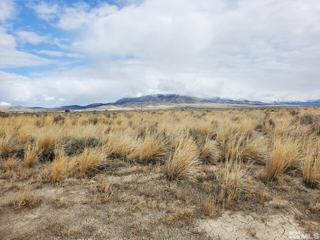 06-0251-10 Godchaux Rd, Winnemucca, NV 89445 - photo 3
