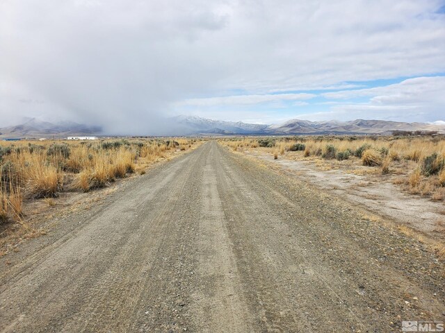 06-0251-10 Godchaux Rd, Winnemucca, NV 89445 - photo 5