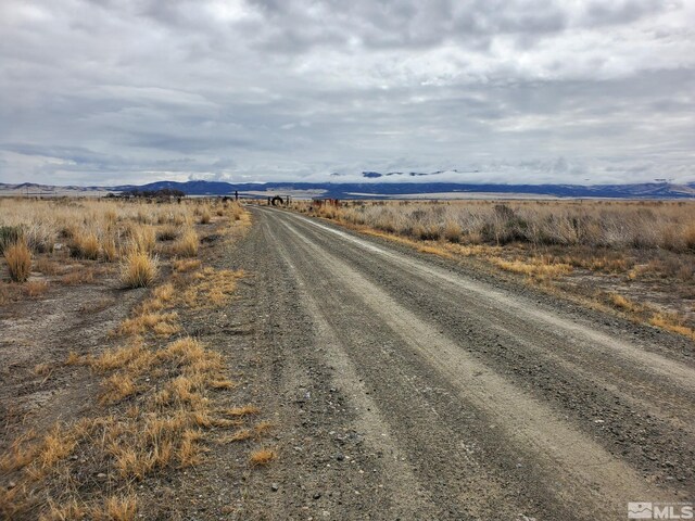 06-0251-10 Godchaux Rd, Winnemucca, NV 89445 - photo 6