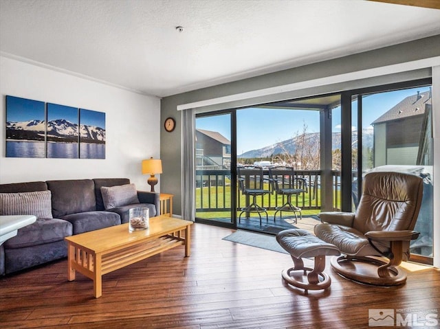 555 Tahoe Keys Blvd Unit 14, South Lake Tahoe, CA 96150 - living area with wood-type flooring and a mountain view