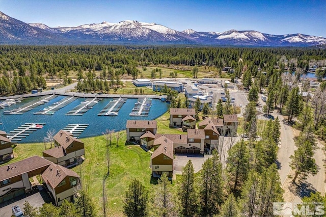 555 Tahoe Keys Blvd Unit 14, South Lake Tahoe, CA 96150 - aerial view of a forest and a water and mountain view