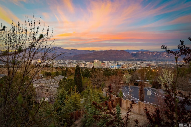2900 Ariel Dr, Reno, NV 89523 - view of mountain background
