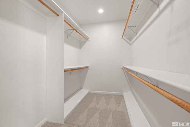1147 Country Club Dr, Minden, NV 89423 - spacious closet featuring light carpet