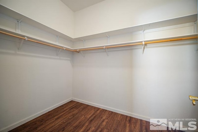 walk in closet with dark wood-style floors