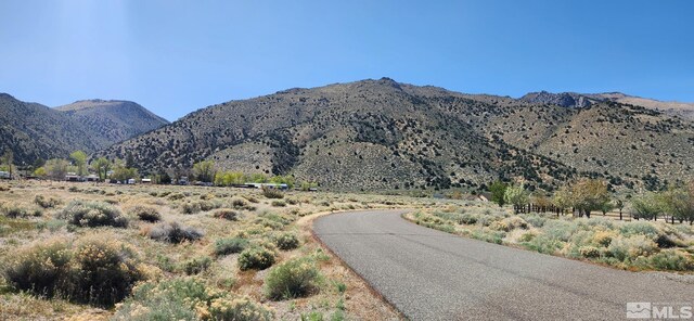 231 Angelina Cir, Wellington, NV 89444 - photo 4
