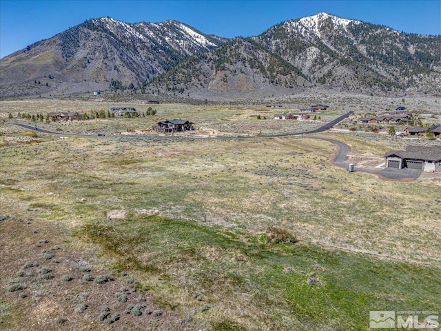 324 James Canyon Loop, Genoa, NV 89411
