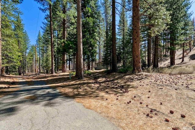 40 Shay Creek Rd, Markleeville, CA 96120 - view of road