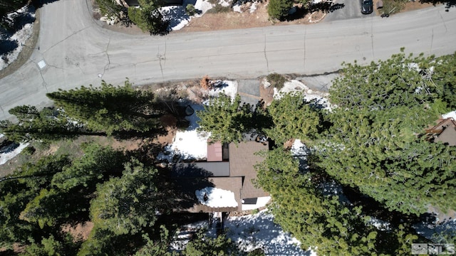 1028 Apollo Way, Incline Village, NV 89451