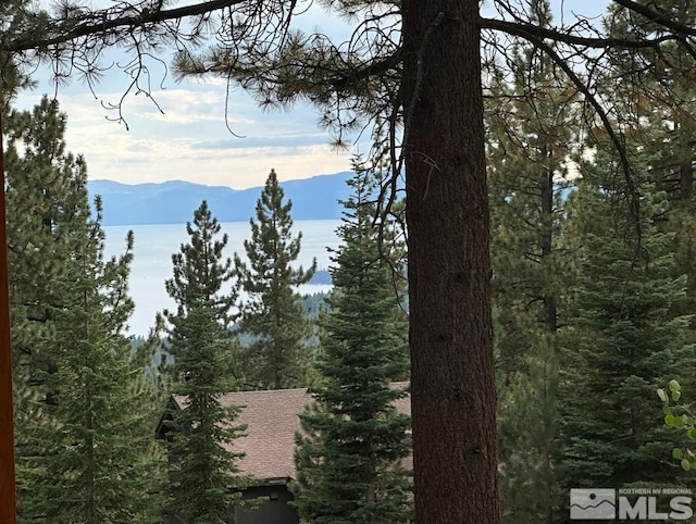 1028 Apollo Way, Incline Village, NV 89451