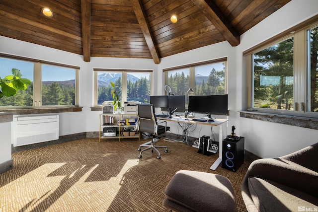 120 W Willis Ln, Reno, NV 89511 - carpeted office space with plenty of natural light, wood ceiling, and baseboards
