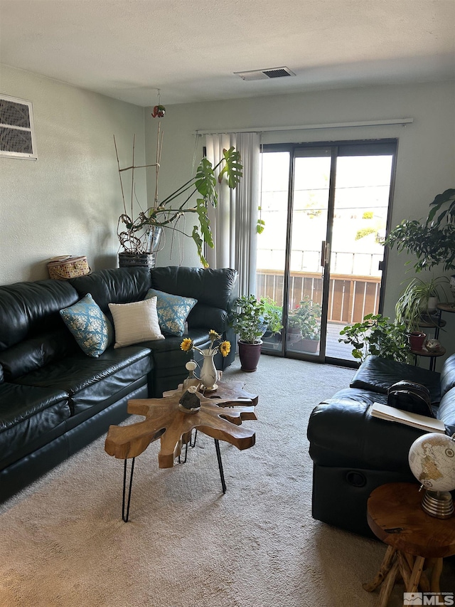 2169 Kietzke Ln Unit E, Reno, NV 89502 - living room featuring carpet flooring