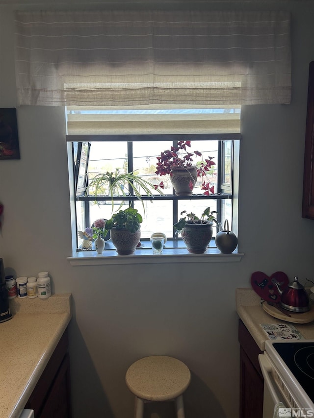 2169 Kietzke Ln Unit E, Reno, NV 89502 - dining area with healthy amount of natural light