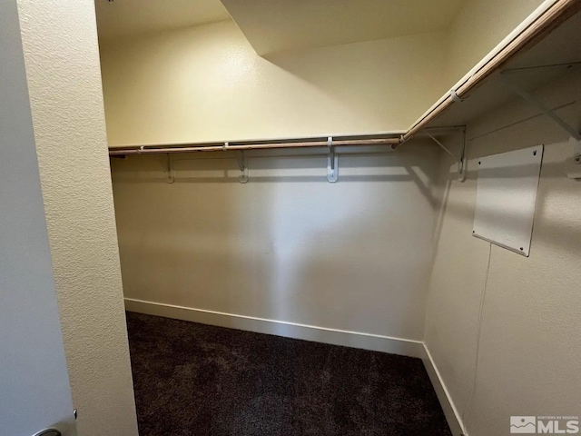 2562 River Hatchling Ln, Reno, NV 89503 - photo 11