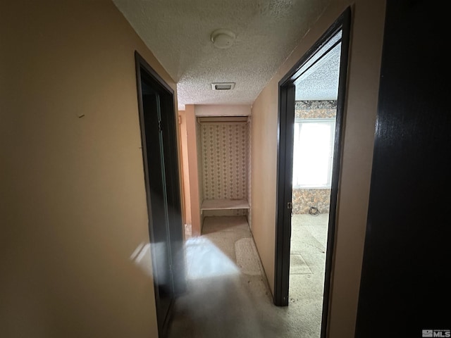 1020 Baywood Dr Unit B, Sparks, NV 89434 - hallway with a textured ceiling and baseboards