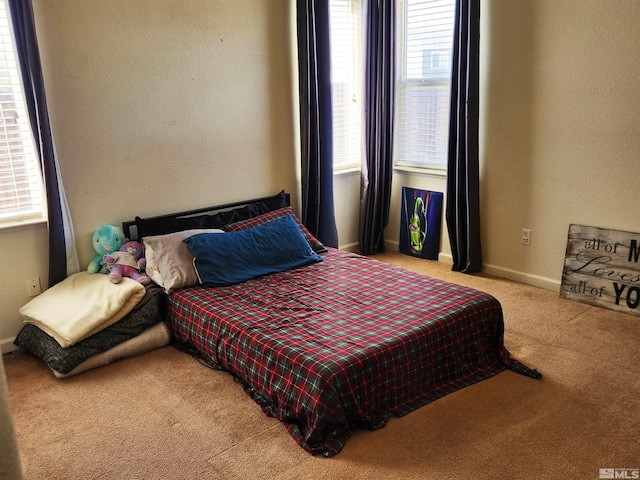 298 Fallen Leaf Ln, Fernley, NV 89408 - bedroom with carpet and baseboards