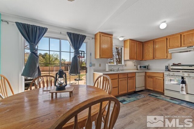 324 Occidental Dr, Dayton, NV 89403 - kitchen featuring white appliances, under cabinet range hood, light countertops, and plenty of natural light
