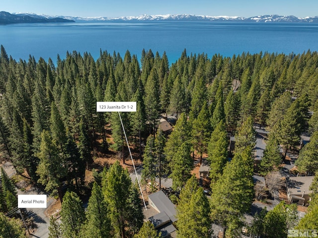 123 Juanita Dr Unit 2, Incline Village, NV 89451 - drone / aerial view of a water and mountain view and a heavily wooded area