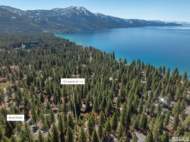123 Juanita Dr Unit 2, Incline Village, NV 89451 - view of property location with a forest and a water and mountain view