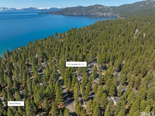 123 Juanita Dr Unit 2, Incline Village, NV 89451 - aerial view of property's location with a forest and a water and mountain view