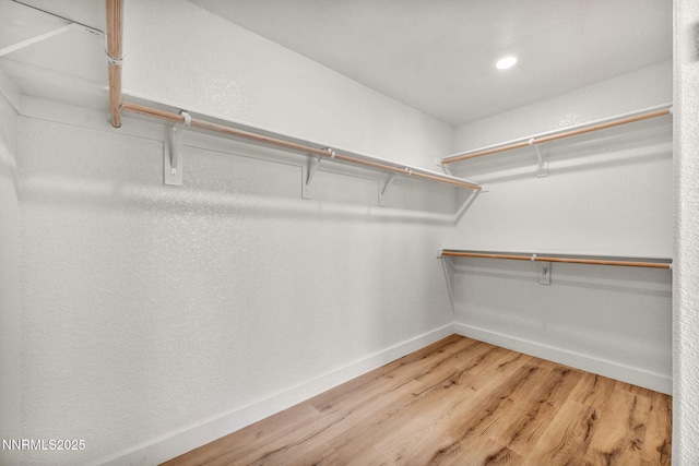 1144 Spruce Meadows Dr, Sparks, NV 89441 - spacious closet featuring light wood-style floors