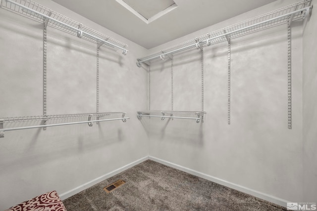 534 Dutch Oven Ct, Fernley, NV 89408 - spacious closet with carpet and attic access