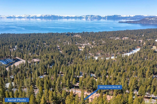 400 Fairview Blvd Unit 8, Incline Village, NV 89451 - view of property location with a heavily wooded area and a water and mountain view