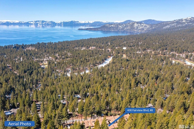 400 Fairview Blvd Unit 8, Incline Village, NV 89451 - aerial view of property's location featuring a forest and a water and mountain view