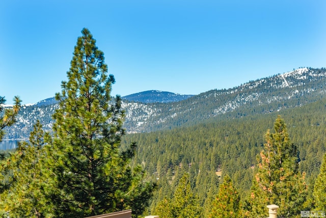 400 Fairview Blvd Unit 8, Incline Village, NV 89451 - mountain view with a forest