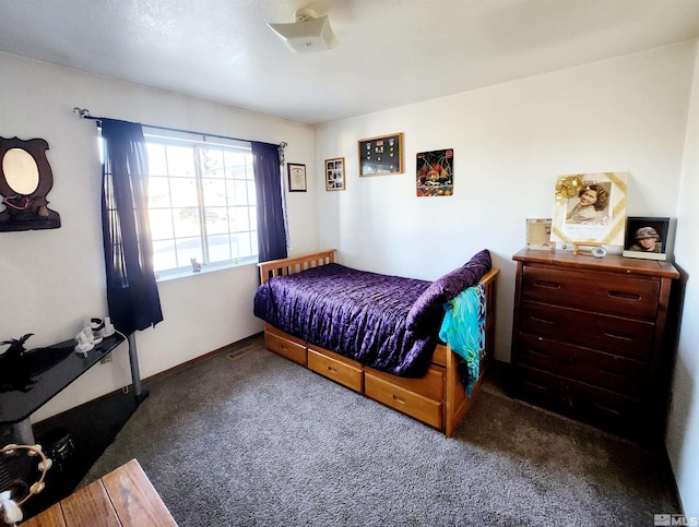 495 Burntwood St, Fallon, NV 89406 - view of carpeted bedroom