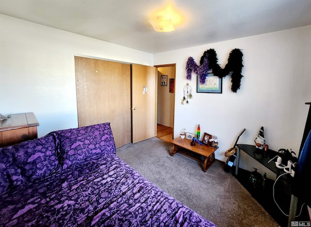 495 Burntwood St, Fallon, NV 89406 - carpeted bedroom with a closet