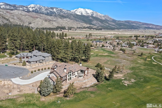 6 Pine Mesa Ct, Washoe Valley, NV 89704