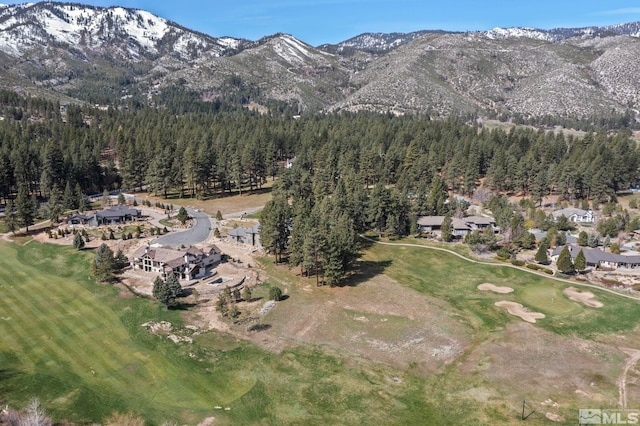 6 Pine Mesa Ct, Washoe Valley, NV 89704