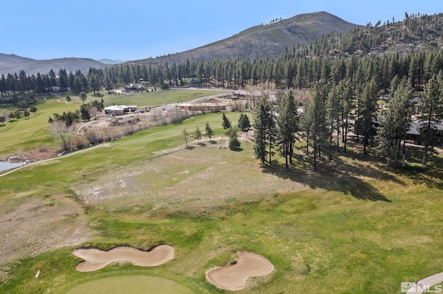 6 Pine Mesa Ct, Washoe Valley, NV 89704