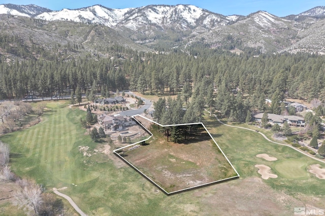6 Pine Mesa Ct, Washoe Valley, NV 89704