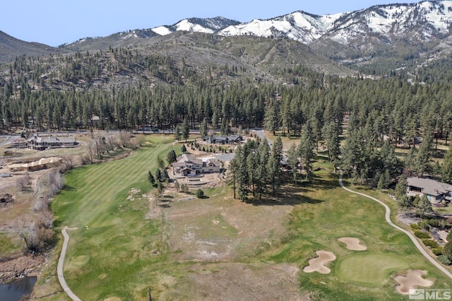 6 Pine Mesa Ct, Washoe Valley, NV 89704