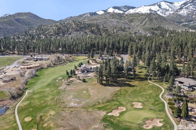 6 Pine Mesa Ct, Washoe Valley, NV 89704