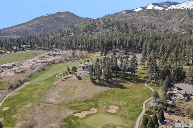 6 Pine Mesa Ct, Washoe Valley, NV 89704