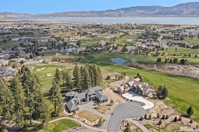 6 Pine Mesa Ct, Washoe Valley, NV 89704