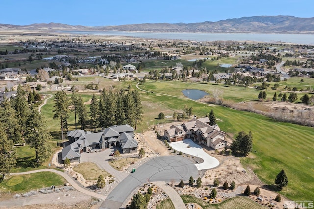 6 Pine Mesa Ct, Washoe Valley, NV 89704