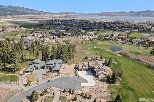 6 Pine Mesa Ct, Washoe Valley, NV 89704