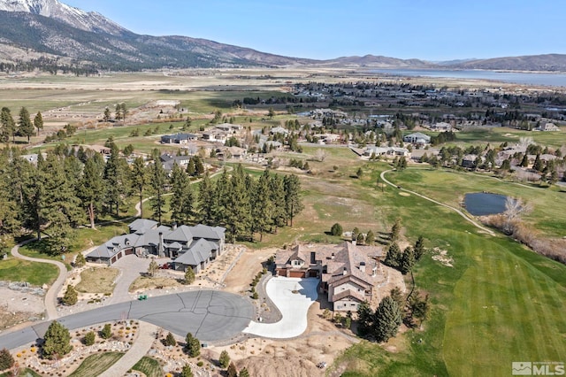 6 Pine Mesa Ct, Washoe Valley, NV 89704