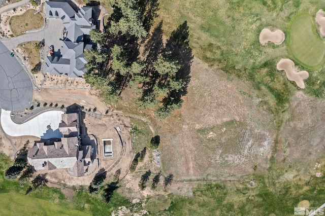 6 Pine Mesa Ct, Washoe Valley, NV 89704