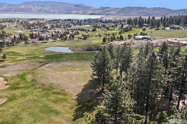 6 Pine Mesa Ct, Washoe Valley, NV 89704