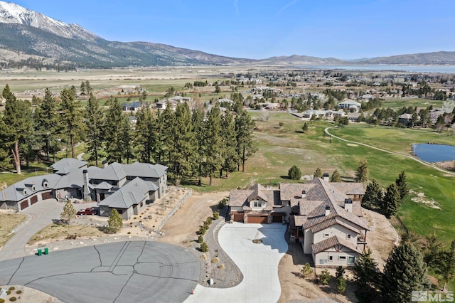 6 Pine Mesa Ct, Washoe Valley, NV 89704