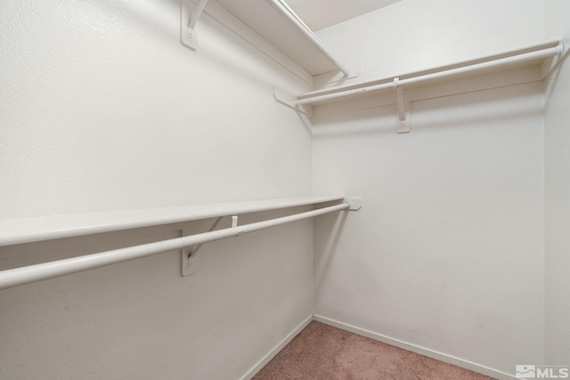 4251 Furgerson Ranch Rd, Carson City, NV 89701 - walk in closet featuring light carpet
