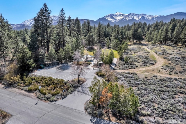 16375 Callahan Rd, Reno, NV 89511 - aerial view of property's location with a forest and a mountainous background
